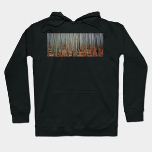 Autumn's Forest Hoodie